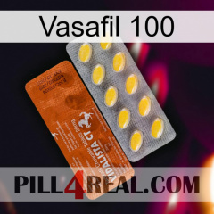 Vasafil 100 42